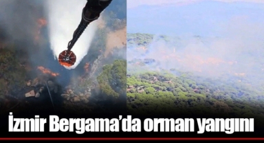 İzmir Bergama’da orman yangını