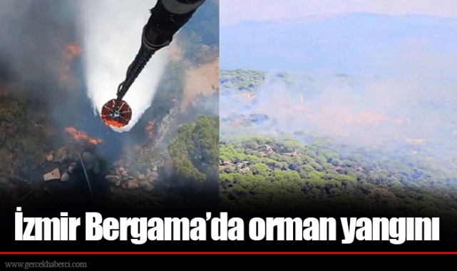 İzmir Bergama’da orman yangını