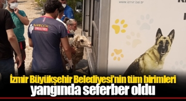 İzmir Büyükşehir Belediyesi’nin tüm birimleri yangında seferber oldu