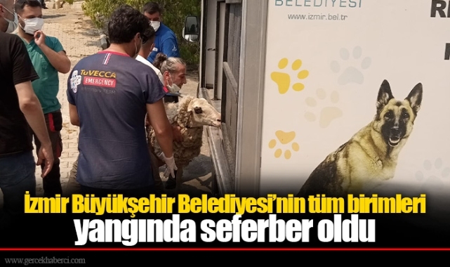 İzmir Büyükşehir Belediyesi’nin tüm birimleri yangında seferber oldu