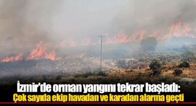 İzmir'de orman yangını tekrar başladı: Çok sayıda ekip havadan ve karadan alarma geçti