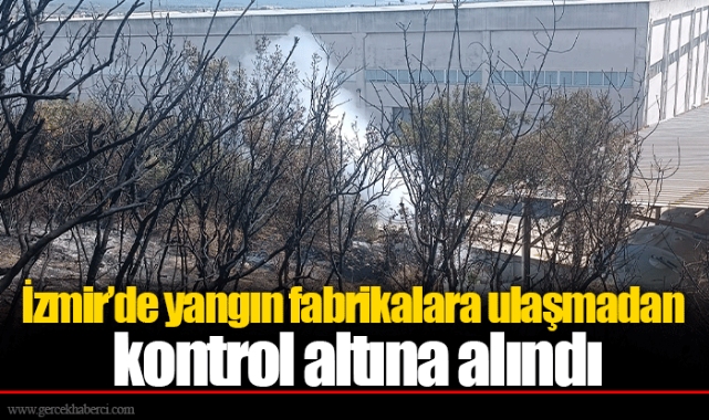 İzmir’de yangın fabrikalara ulaşmadan kontrol altına alındı