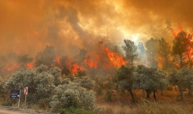 İzmir'deki orman yangınlarında son durum ne?