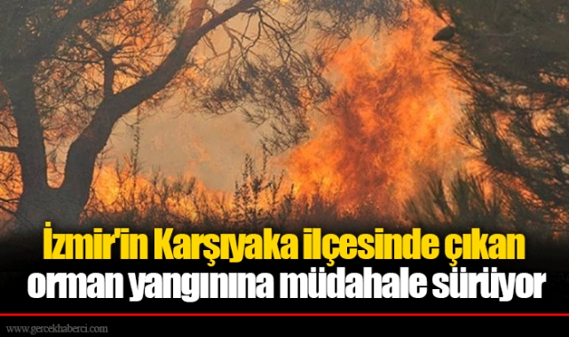 İzmir'in Karşıyaka ilçesinde çıkan orman yangınına müdahale sürüyor