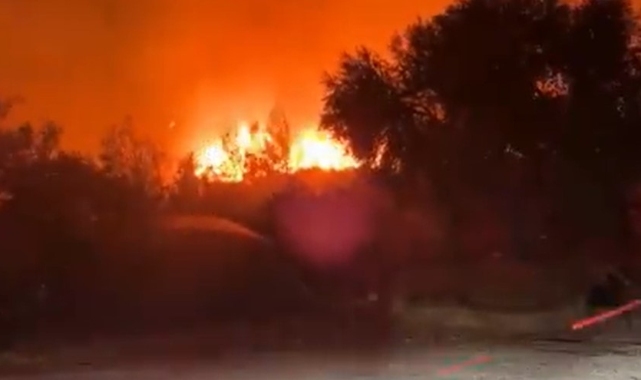 İzmir'in Urla ilçesinde makilik alanda çıkan yangına müdahale ediliyor