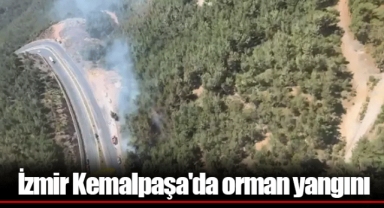 İzmir Kemalpaşa'da orman yangını