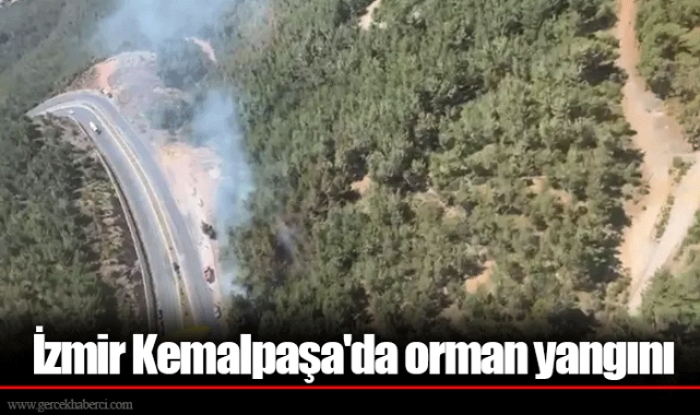 İzmir Kemalpaşa'da orman yangını