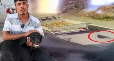 Kamyonete bağlanan köpeği sürüklemişti! İfadesi ortaya çıktı
