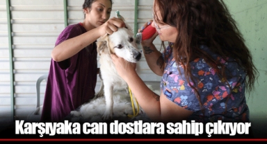 Karşıyaka can dostlara sahip çıkıyor