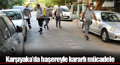 Karşıyaka’da haşereyle kararlı mücadele