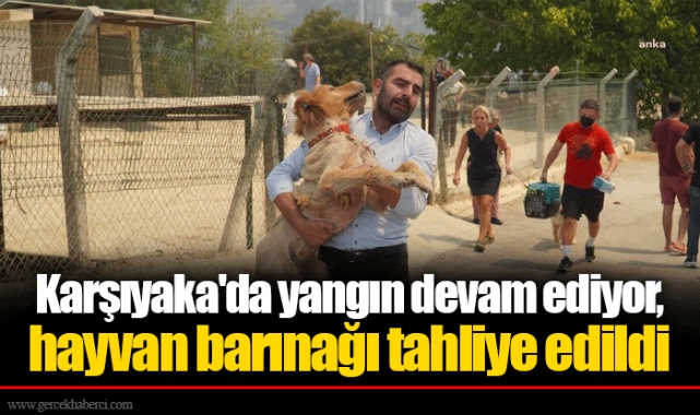 Karşıyaka'da yangın devam ediyor, hayvan barınağı tahliye edildi