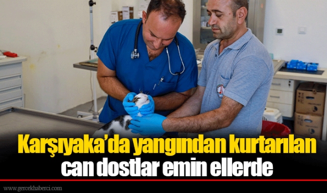 Karşıyaka’da yangından kurtarılan can dostlar emin ellerde 