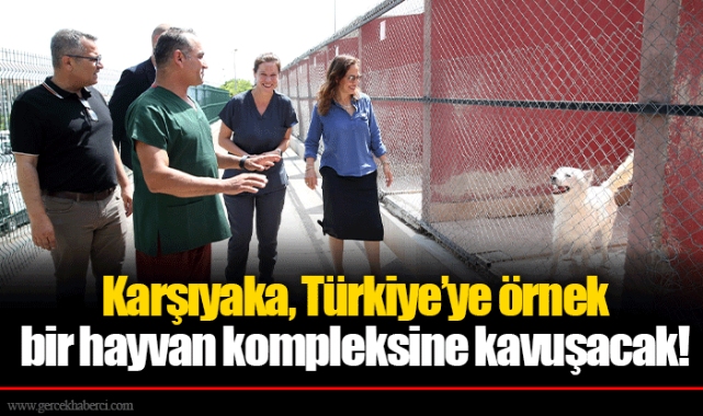 Karşıyaka, Türkiye’ye örnek bir hayvan kompleksine kavuşacak!