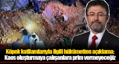 Köpek katliamlarıyla ilgili hükümetten açıklama: Kaos oluşturmaya çalışanlara prim vermeyeceğiz