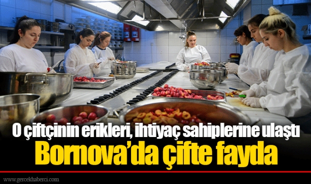 O çiftçinin erikleri, ihtiyaç sahiplerine ulaştı