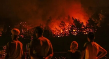 OGM'den İzmir Menderes'teki orman yangınına dair açıklama