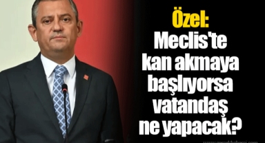 Özel: Meclis'te kan akmaya başlıyorsa vatandaş ne yapacak?