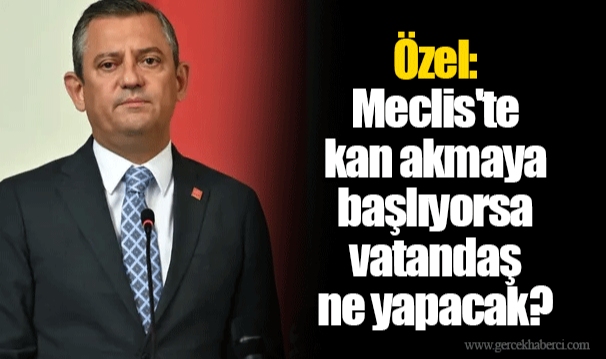Özel: Meclis'te kan akmaya başlıyorsa vatandaş ne yapacak?