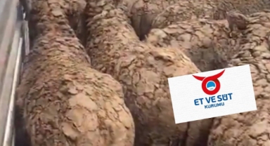 Skandal görüntülere ESK'dan yanıt geldi: 'Münferit olaylar'