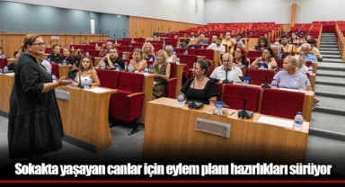 Sokakta yaşayan canlar için eylem planı hazırlıkları sürüyor