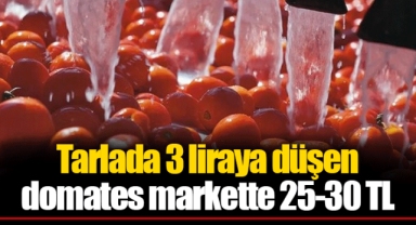 Tarlada 3 liraya düşen domates markette 25-30 TL