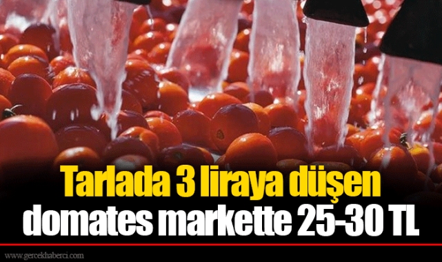 Tarlada 3 liraya düşen domates markette 25-30 TL