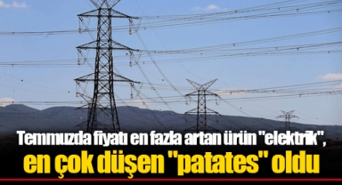 Temmuzda fiyatı en fazla artan ürün