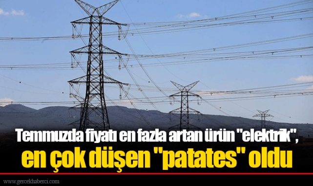 Temmuzda fiyatı en fazla artan ürün "elektrik", en çok düşen "patates" oldu