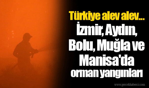 Türkiye alev alev... İzmir, Aydın, Bolu, Muğla ve Manisa'da orman yangınları