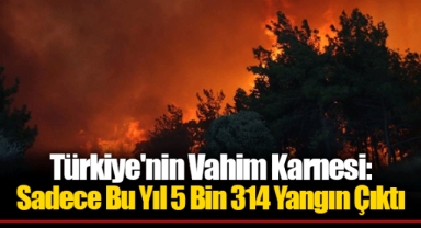Türkiye'nin Vahim Karnesi: Sadece Bu Yıl 5 Bin 314 Yangın Çıktı