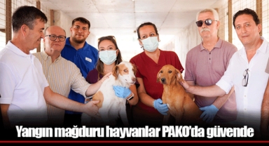 Yangın mağduru hayvanlar PAKO’da güvende
