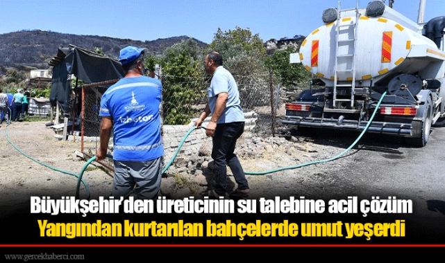 Yangından kurtarılan bahçelerde umut yeşerdi