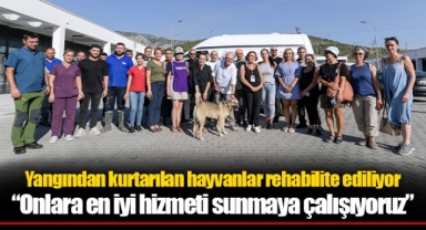 Yangından kurtarılan hayvanlar rehabilite ediliyor