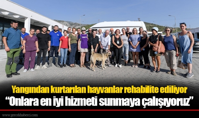 Yangından kurtarılan hayvanlar rehabilite ediliyor