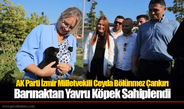 AK Parti İzmir Milletvekili Ceyda Bölünmez Çankırı Barınaktan Yavru Köpek Sahiplendi