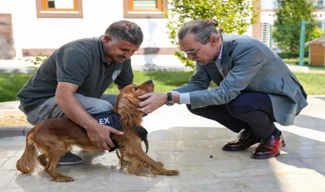 Etimesgut Belediyesi 5 sahipsiz köpeğin atamasını gerçekleştirdi