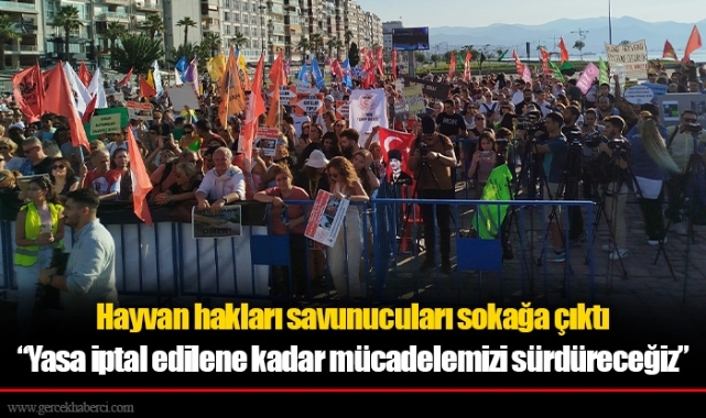 Hayvan hakları savunucuları sokağa çıktı
