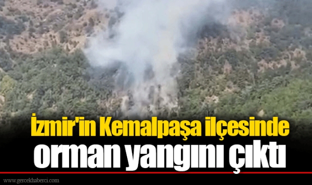İzmir'in Kemalpaşa ilçesinde orman yangını çıktı