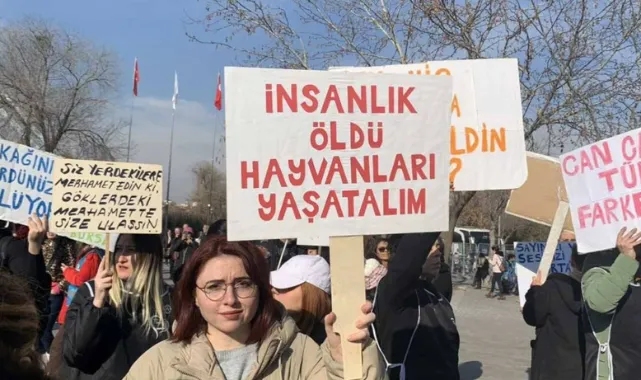 Katliamın Adresi Bu Sefer Kadıköy! Kedi ve Köpekleri Yine Zehirleyerek Öldürdüler