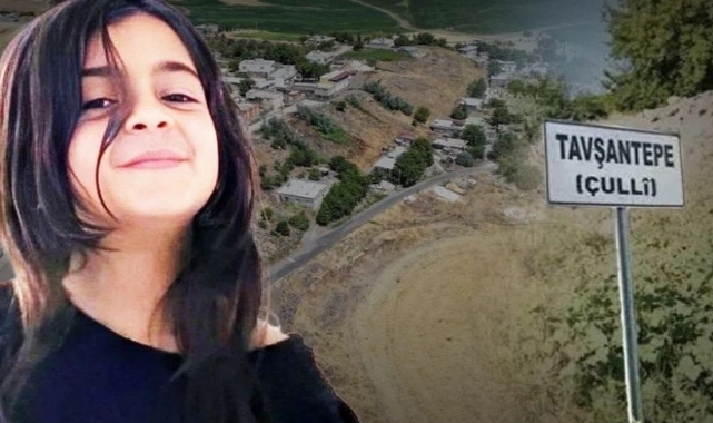Narin'in köyünde 15 çocuk öldü: 9'u Güran ailesinden!
