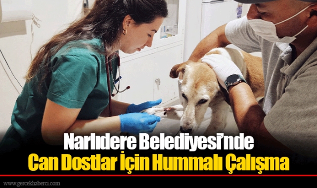 Narlıdere Belediyesi’nde  Can Dostlar İçin Hummalı Çalışma