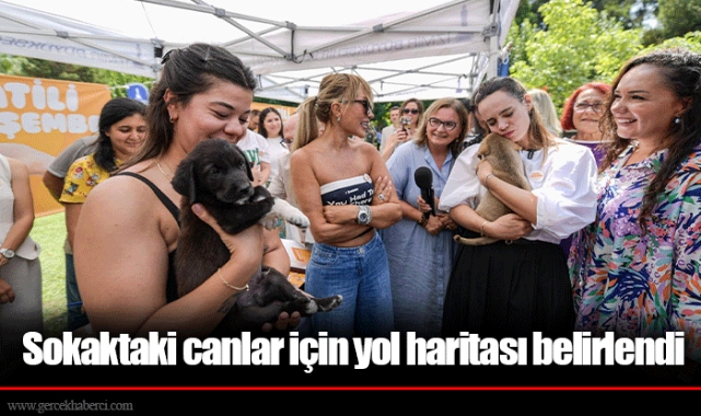 Sokaktaki canlar için yol haritası belirlendi