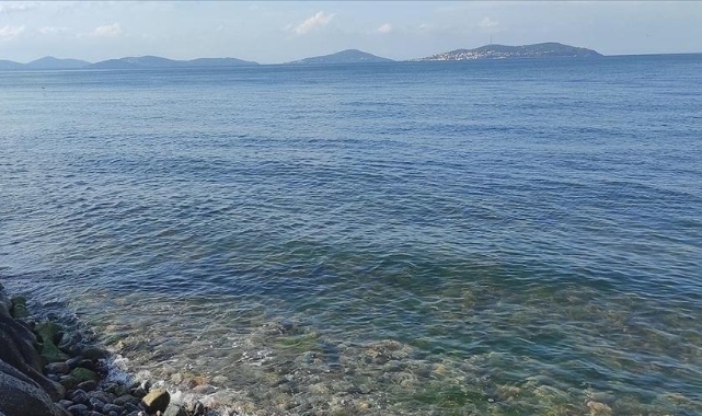 Türkiye'nin 20 bin yıllık buzulları eriyor