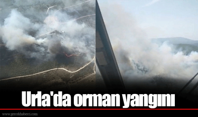 Urla'da orman yangını