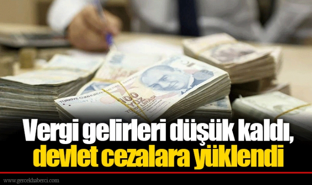 Vergi gelirleri düşük kaldı, devlet cezalara yüklendi