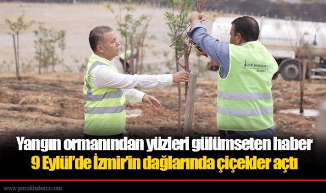 Yangın ormanından yüzleri gülümseten haber