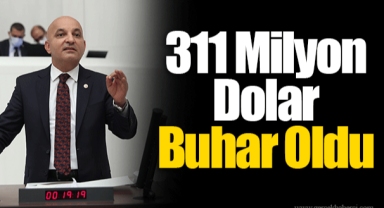 311 Milyon Dolar Buhar Oldu