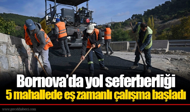 5 mahallede eş zamanlı çalışma başladı