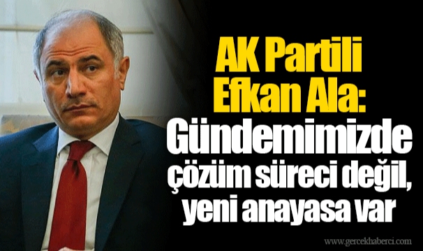 AK Partili Efkan Ala: Gündemimizde çözüm süreci değil, yeni anayasa var