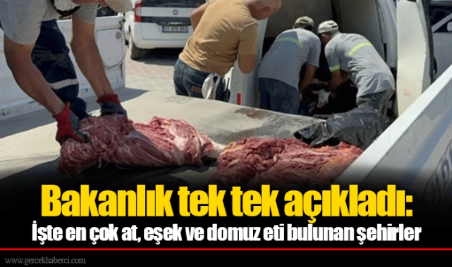 Bakanlık tek tek açıkladı: İşte en çok at, eşek ve domuz eti bulunan şehirler
